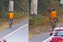 সাইকেল আরোহীকে আক্রমণ চিতাবাঘের! পুরনো ভাইরাল ভিডিও দেখে আঁতকে উঠল নেটিজেনরা সাইকেল আরোহীকে আক্রমণ চিতাবাঘের! পুরনো ভাইরাল ভিডিও দেখে আঁতকে উঠল নেটিজেনরা