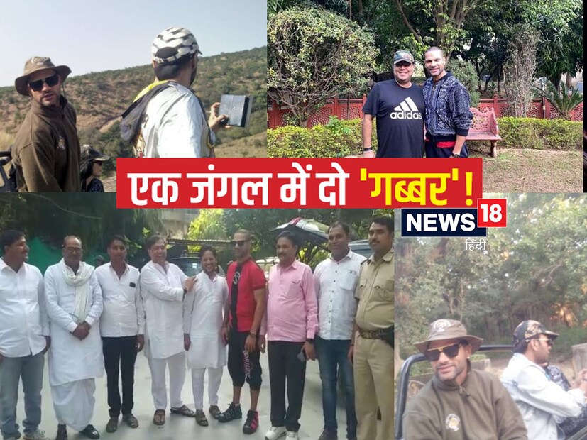 রণথম্ভোর টাইগার রিজার্ভ প্রায় ১৭০০ বর্গ কিলোমিটার এলাকা জুড়ে বিস্তৃত। এখানে প্রায় ৭৭টি বাঘ এবং শাবক রয়েছে। 
