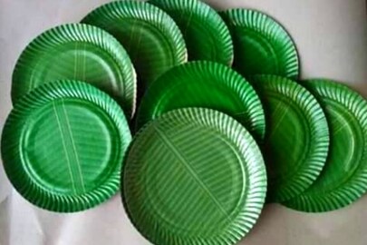 কাগজের তৈরি প্লেট