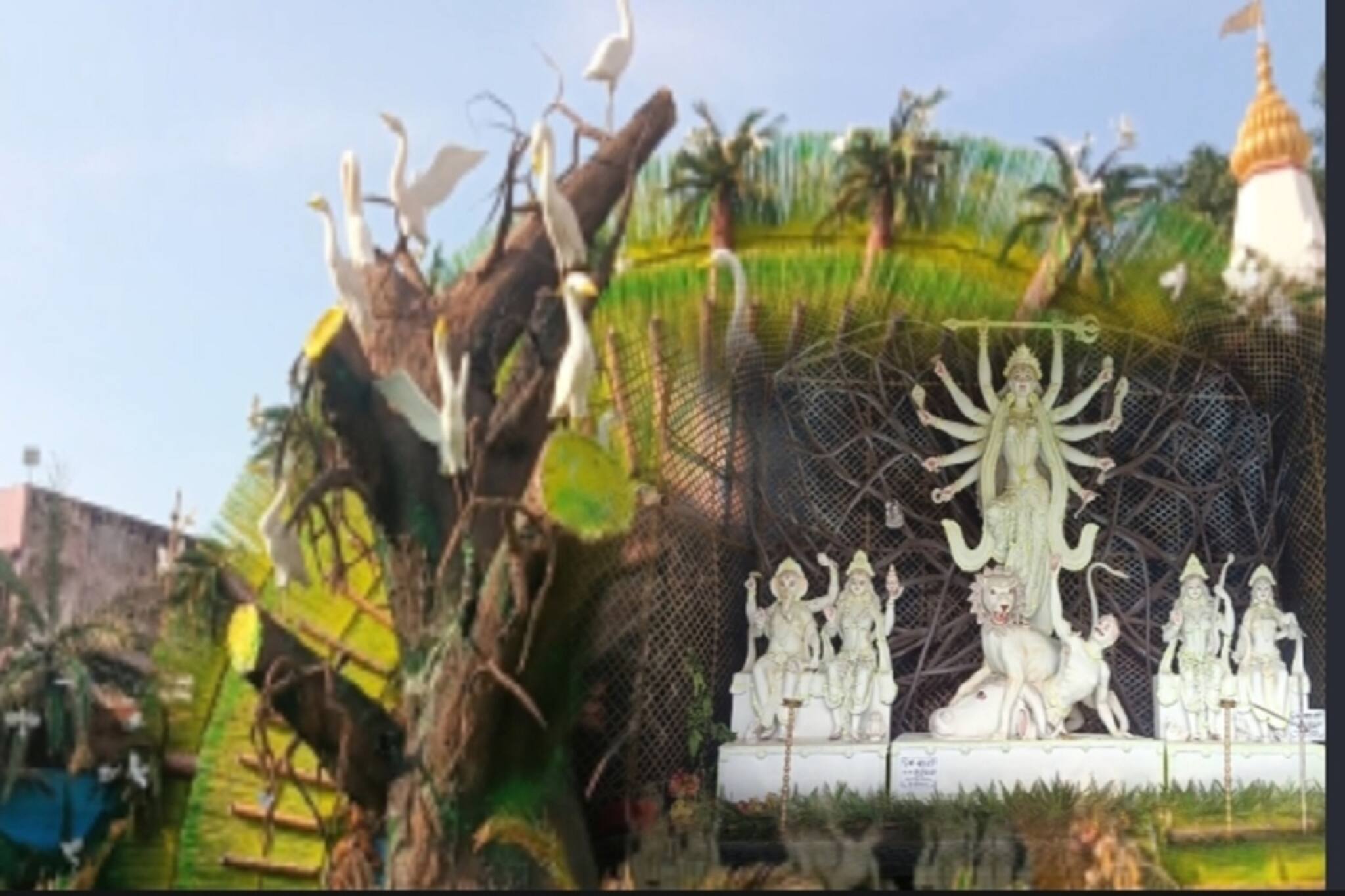 Malda News: পাখি বাঁচানোর বার্তা নিয়ে হাজির মালদহের গয়েশপুর মঙ্গল সমিতি