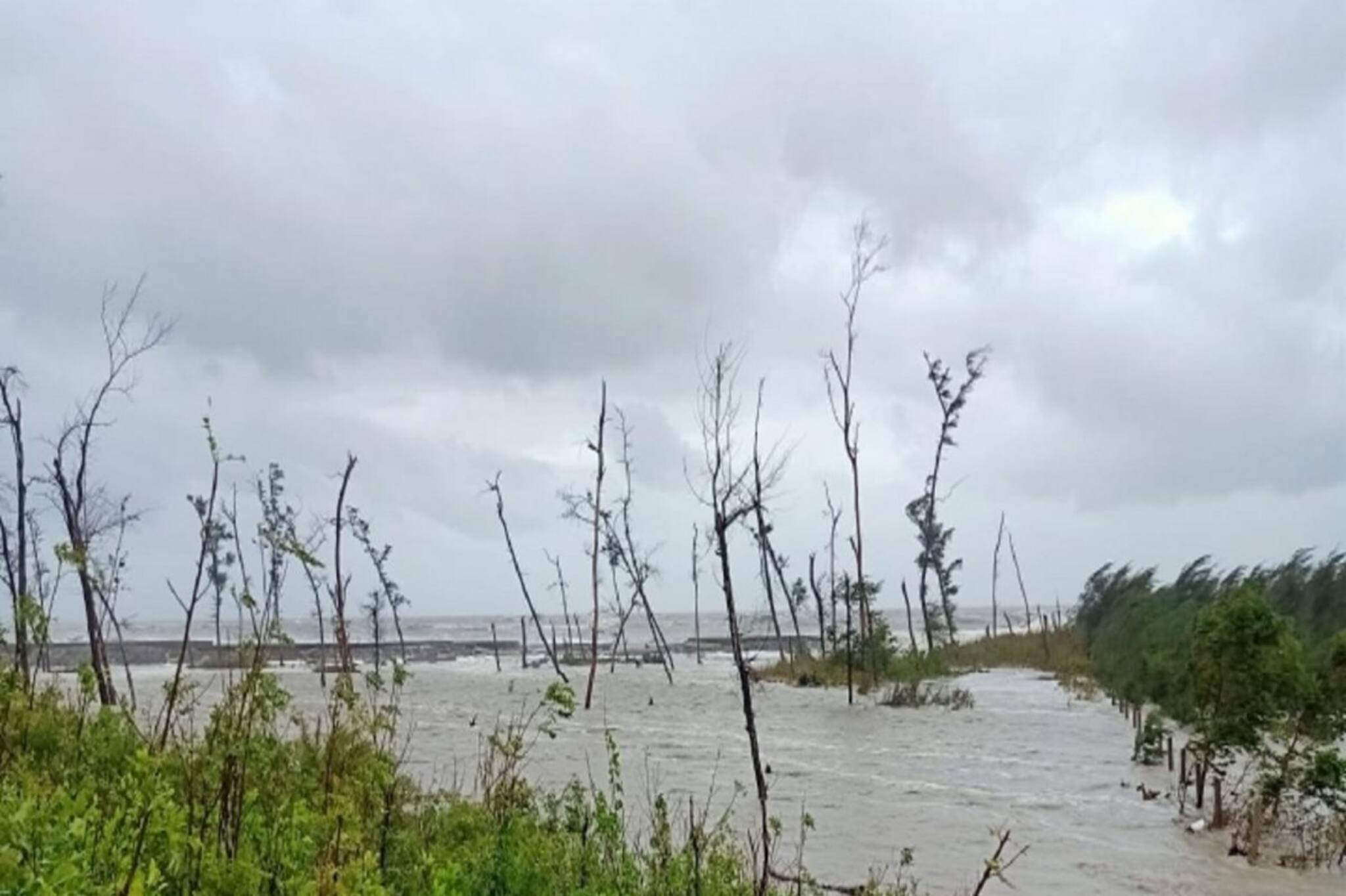 Cow Smuggling: সীমান্তে পাচারের জন্য অতি দ্রুত গতির নৌকা বানাচ্ছে পাচারকারীরা