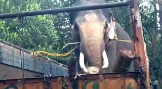 দুর্গাপুরে আনা হয়েছে শম্ভু এবং মীনাক্ষীকে