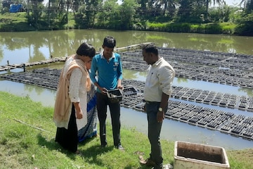 বক্স