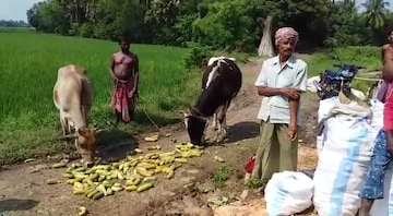 রাস্তায়