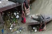ফরাক্কাতে গঙ্গায় ঝাঁপ গৃহবধূর! উদ্ধার করল সিআইএসএফ