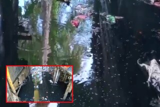 জমা জলে হচ্ছে মশা