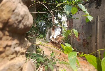 বেনাগ্রামের