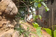 বেনাগ্রাম কি সত্যিই ভৌতিক? নাকি নেপথ্যে থেকে অন্য কাহিনী? সাক্ষী ডাকাত কালী বেনাগ্রাম কি সত্যিই ভৌতিক? নাকি নেপথ্যে থেকে অন্য কাহিনী? সাক্ষী ডাকাত কালী
