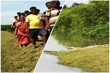 রায়দিঘীতে এক নয়, একাধিক কুমির! আতঙ্কে দিন কাটছে মানুষের রায়দিঘীতে এক নয়, একাধিক কুমির! আতঙ্কে দিন কাটছে মানুষের
