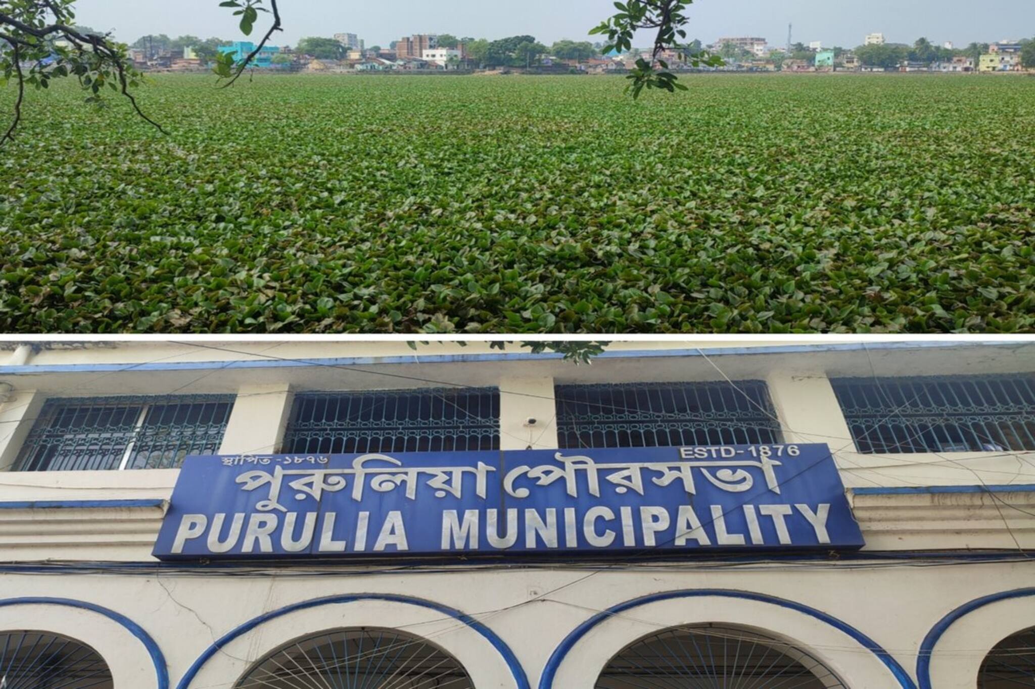 Purulia News: দীর্ঘদিন ধরে বেহাল অবস্থায় রাজাবাঁধ! সংস্কারের আশ্বাস পৌরসভার