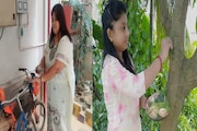 অভিনব উদ্যোগ! গাছ আর সাইকেলকে ভাইফোঁটা দিলেন বোনেরা