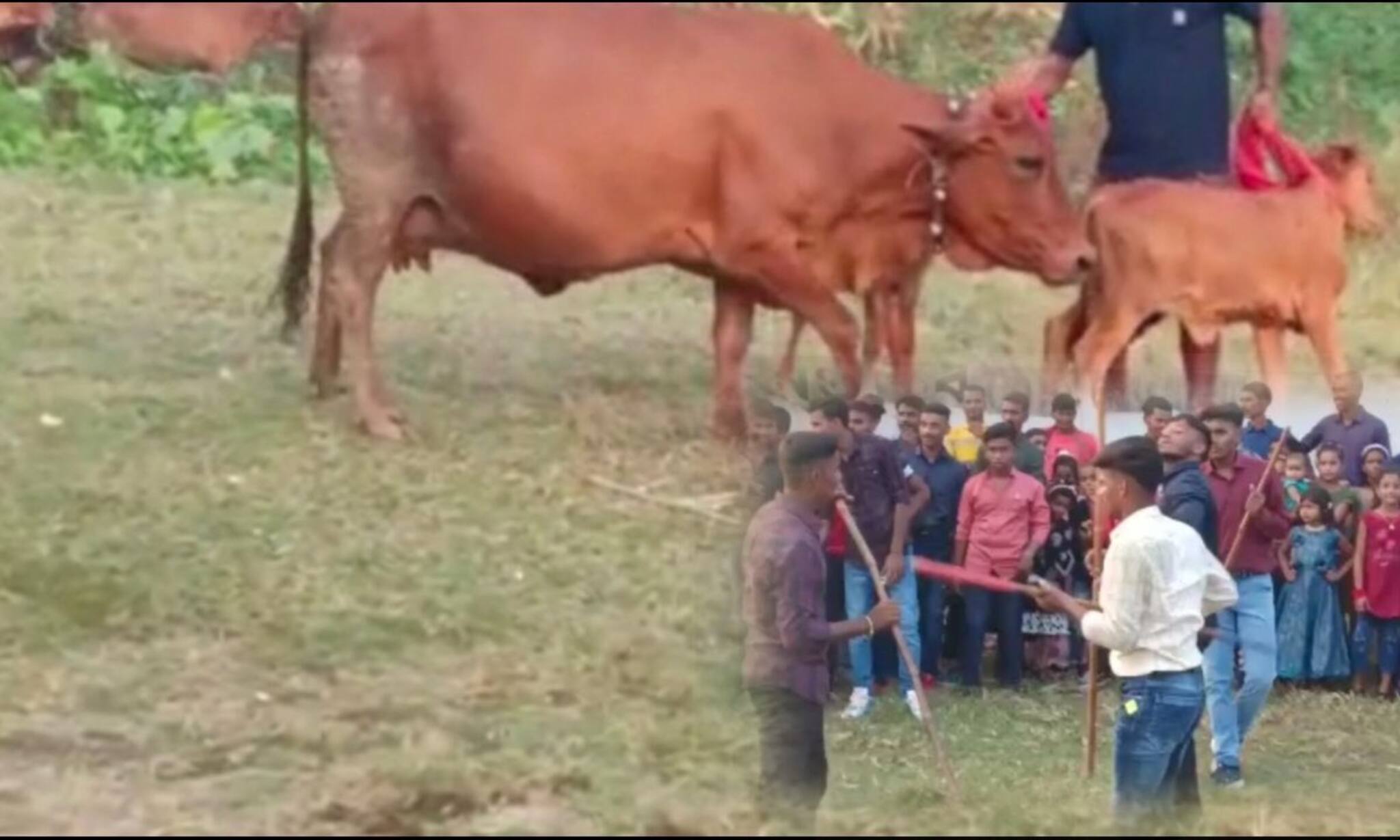 Murshidabad News: শ্রীকৃষ্ণ ও রাধিকা খেলতেন! কালীপুজোর পরেই আজও ‘এই’ খেলার আয়োজন হয় ভগবানগোলায় 