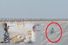 ছট পুজোর আগেই ফারাক্কার গঙ্গায় আতঙ্ক! দেখা গেল কুমির ছট পুজোর আগেই ফারাক্কার গঙ্গায় আতঙ্ক! দেখা গেল কুমির