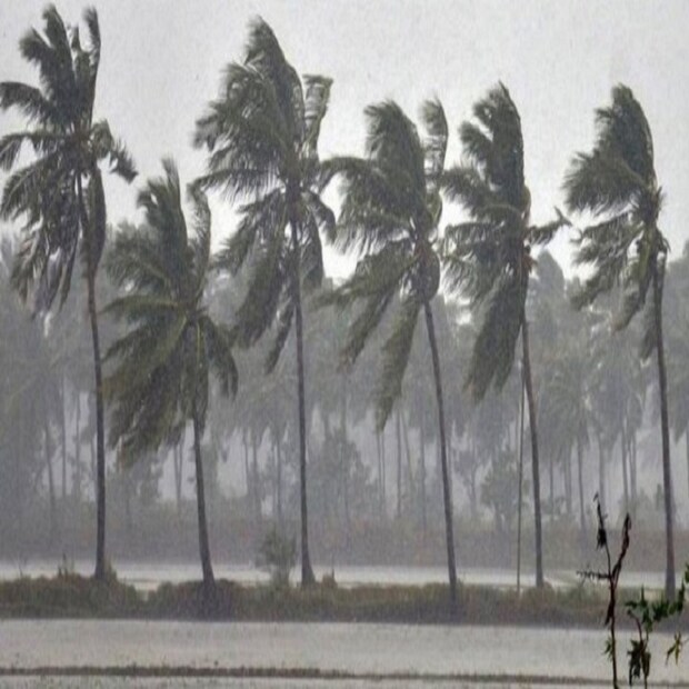 আবহাওয়া দফতরের পূর্বাভাসের কথা ভেবে নির্দেশিকা জারি করেছে মৎস্য দফতরও। সমুদ্র উত্তল থাকবে বলে মৎস্যজীবীদের সমুদ্র থেকে ফিরে আসার নির্দেশ জারি করেছে দফতর। 
