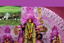 দুর্গা পুজোর সময় হাতির হানা রুখতে রাত জেগে পাহারা দিচ্ছেন বন কর্মীরা দুর্গা পুজোর সময় হাতির হানা রুখতে রাত জেগে পাহারা দিচ্ছেন বন কর্মীরা