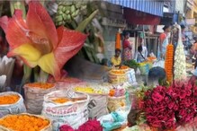 চড়চড়িয়ে বাড়বে ব্যাঙ্ক ব্যালান্স, সাফল্য আসবে কোন ফুল চাষে, জানলে চমকে যাবেন চড়চড়িয়ে বাড়বে ব্যাঙ্ক ব্যালান্স, সাফল্য আসবে কোন ফুল চাষে, জানলে চমকে যাবেন