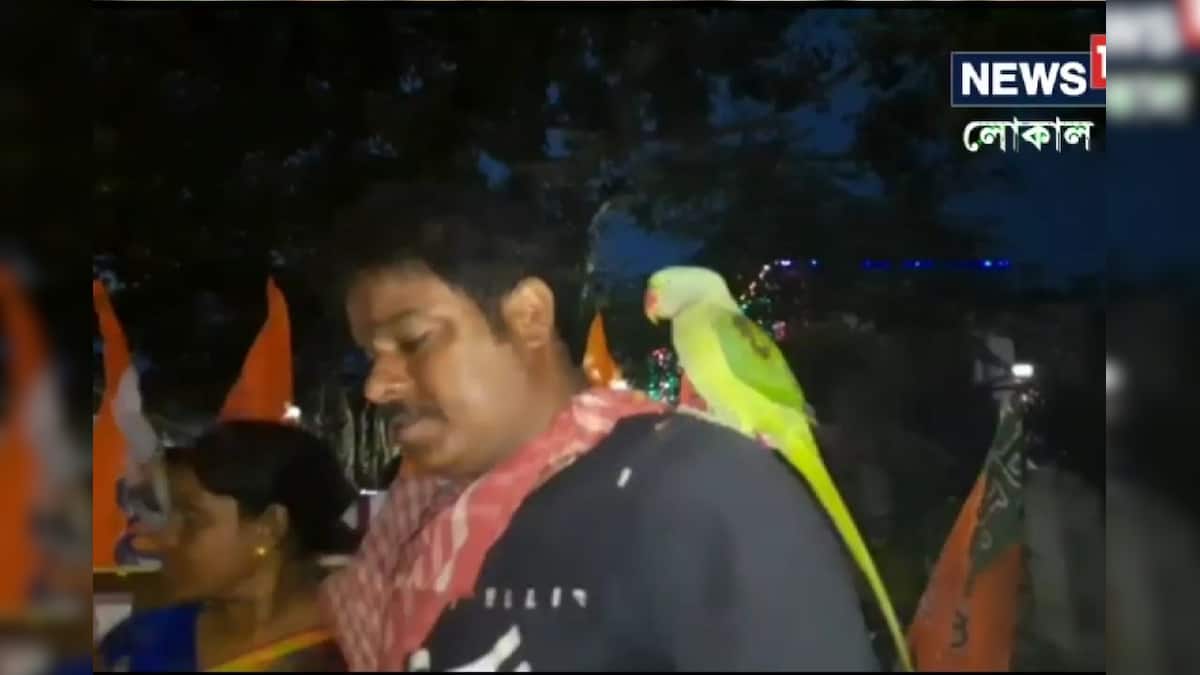 ঘুগনি বিক্রি করছেন মাধব, কান ফাটানো গলায় খদ্দের ডাকছে টিয়া, হুগলির