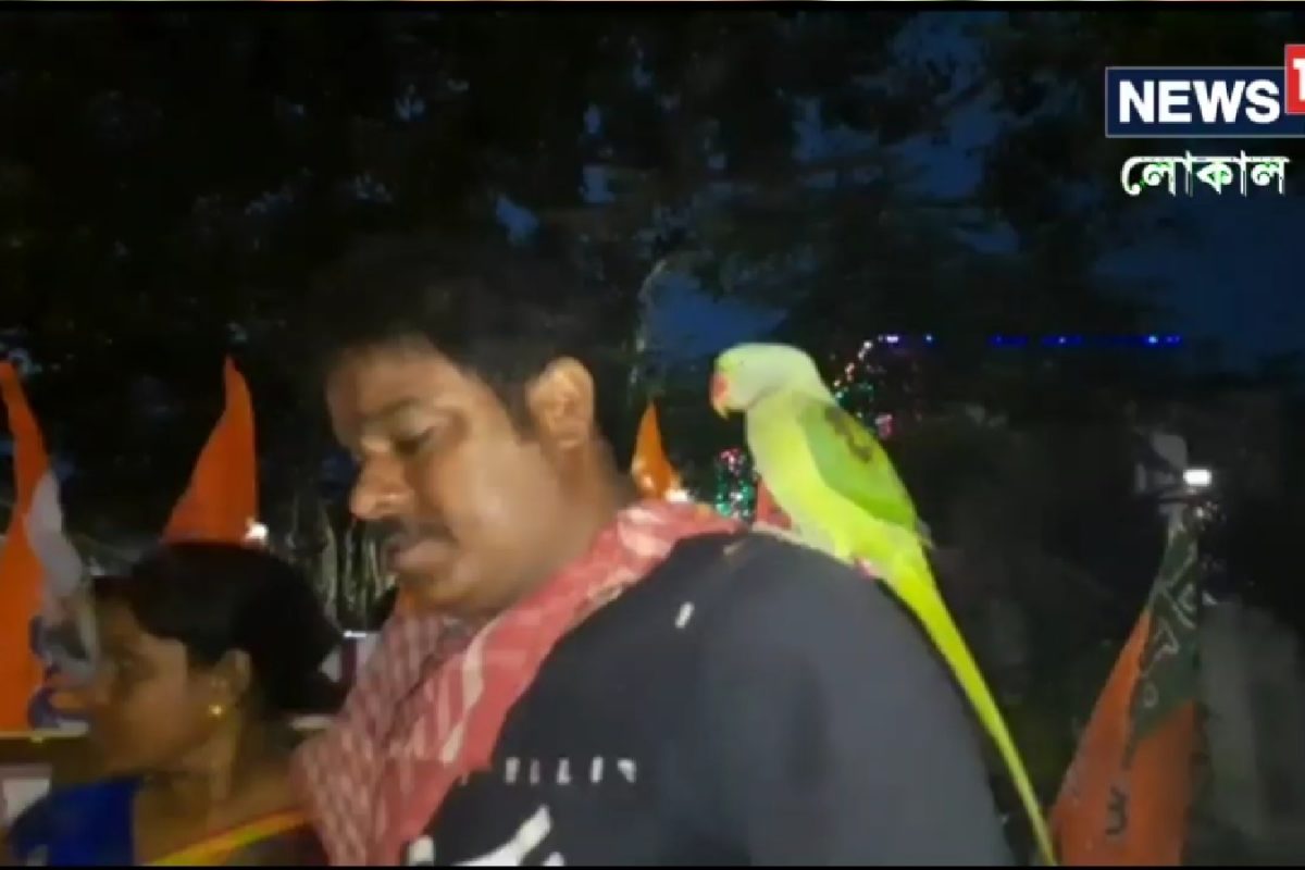 ঘুগনি বিক্রি করছেন মাধব, কান ফাটানো গলায় খদ্দের ডাকছে টিয়া, হুগলির