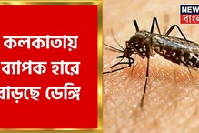 কলকাতায় ব্যাপক হারে বাড়ছে ডেঙ্গি সংক্রমণ, আক্রান্ত ৪ গুণ কলকাতায় ব্যাপক হারে বাড়ছে ডেঙ্গি সংক্রমণ, আক্রান্ত ৪ গুণ