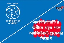 ন্যাশনাল কাউন্সিলে প্রফেসর নিয়োগ! এই দারুণ সুযোগ মিস করবেন না