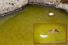 চার বাড়িতে তালা ভেঙে ঢুকে অভিযান পুরসভার, বাড়ি ফাঁকা রাখলে সাবধান!