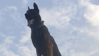 এর আগেও দক্ষিণ কাশ্মীরে বহু সেনা অভিযানে অংশ নিয়েছে জুম