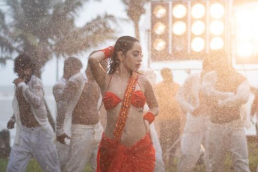 এ ছাড়া একই সাক্ষাৎকারে তিনি জানান, তাঁকে একটি হিন্দি ধারাবাহিক থেকে রাতারাতি বাদ দিয়ে দেওয়া হয়। এক বার নয়, একাধিক বার এই ঘটনা ঘটেছে বলে জানান তিনি।