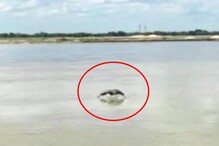 দামোদরে দেখা ডলফিনের! প্রকৃতির আজব খেলা দেখতে হাজির অসংখ্য মানুষ, সতর্ক প্রশাসন দামোদরে দেখা ডলফিনের! প্রকৃতির আজব খেলা দেখতে হাজির অসংখ্য মানুষ, সতর্ক প্রশাসন