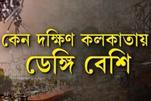 শহরে মোট ডেঙ্গি আক্রান্তের ৮০ শতাংশই দক্ষিণ কলকাতায়, কেন? কোন কোন জায়গায় বেশি