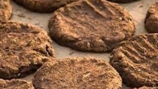 দুঃসহ এই অভিজ্ঞতার শিকার উত্তরপ্রদেশের এক মহিলা