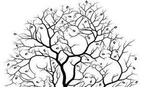 খরগোশ ভালবাসেন? চোখের সামনেই তো রয়েছে, বলুন তো কটা আছে সবমিলিয়ে খরগোশ ভালবাসেন? চোখের সামনেই তো রয়েছে, বলুন তো কটা আছে সবমিলিয়ে