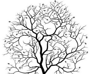 খরগোশ ভালবাসেন? চোখের সামনেই তো রয়েছে, বলুন তো কটা আছে সবমিলিয়ে খরগোশ ভালবাসেন? চোখের সামনেই তো রয়েছে, বলুন তো কটা আছে সবমিলিয়ে