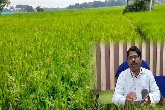 অসময়ের