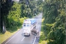 ট্রাকের ধাক্কায় ছিটকে পড়ল গন্ডার, তার পর?ভিডিও ট্যুইট করলেন অসমের মুখ্যমন্ত্রী