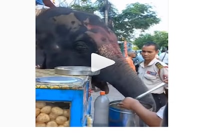 Viral Video 
