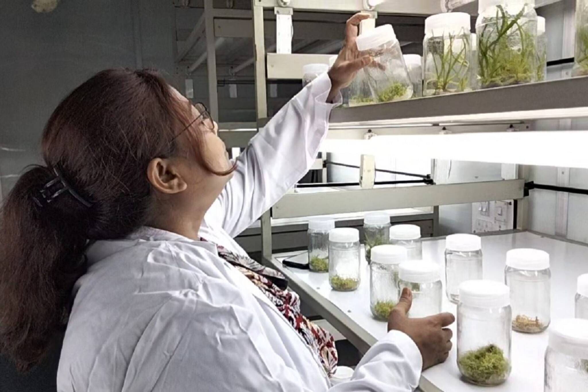 টিস্যু কালচার কী জানেন? এই কোর্সে স্বনির্ভর হতে পারেন আপনি