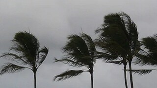 Representative Image Representative Image