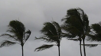 Representative Image Representative Image