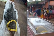 দেবদূত, নিরামিষাশী কুমির বাবিয়ার মৃত্যুতে শোকের ছায়া কেরলে! দেখুন তার শেষ কার্য! দেবদূত, নিরামিষাশী কুমির বাবিয়ার মৃত্যুতে শোকের ছায়া কেরলে! দেখুন তার শেষ কার্য!