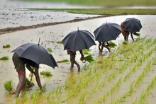 প্রথমে খরা, তারপর বৃষ্টি, দুর্যোগের কারণেই কি মূল্যবৃদ্ধি ? রইল বিশেষজ্ঞদের মত