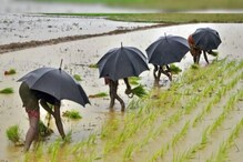 প্রথমে খরা, তারপর বৃষ্টি, দুর্যোগের কারণেই কি মূল্যবৃদ্ধি ? রইল বিশেষজ্ঞদের মত প্রথমে খরা, তারপর বৃষ্টি, দুর্যোগের কারণেই কি মূল্যবৃদ্ধি ? রইল বিশেষজ্ঞদের মত