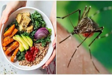 ঘরে ঘরে ডেঙ্গি! বাড়ছে চিন্তা! Platelet Count বাড়াতে ডায়েটে অবশ্যই রাখুন...