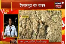 ইসলামপুরে ফের বাঘের আতঙ্ক, প্রায় ১০ দিন ধরে ভয়ে দিন গুনছেন এলাকাবাসীরা