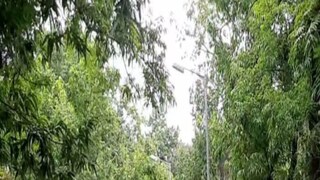 পর্যটকদের জন্য সুখবর পর্যটকদের জন্য সুখবর