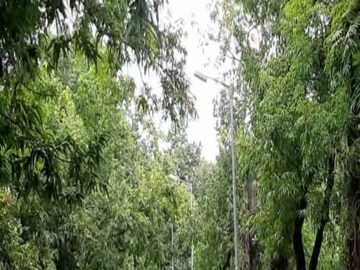পর্যটকদের জন্য সুখবর