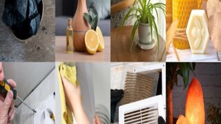 প্রাকৃতিক পদ্ধতিতে বায়ু শুদ্ধিকরণ প্রাকৃতিক পদ্ধতিতে বায়ু শুদ্ধিকরণ