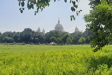 কালী পুজোর পরের রাতেও ফাটল দেদার বাজি ! সিত্রাংয়ের প্রভাব কাটতেই ফের এক ছবি শহরে