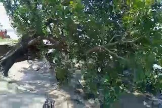 মালদহে ভয়াবহ অবস্থা মালদহে ভয়াবহ অবস্থা