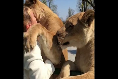 viral video 