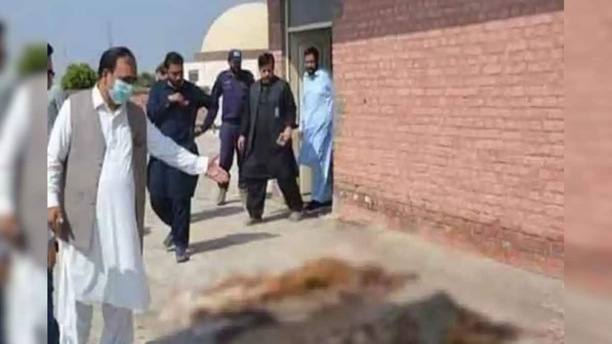 কেউ বলছেন ২০০, কেউ বা ৫০০, হাসপাতালের ছাদে পচাগলা লাশের সারি! আঁতকে ওঠা চিত্র কেউ বলছেন ২০০, কেউ বা ৫০০, হাসপাতালের ছাদে পচাগলা লাশের সারি! আঁতকে ওঠা চিত্র